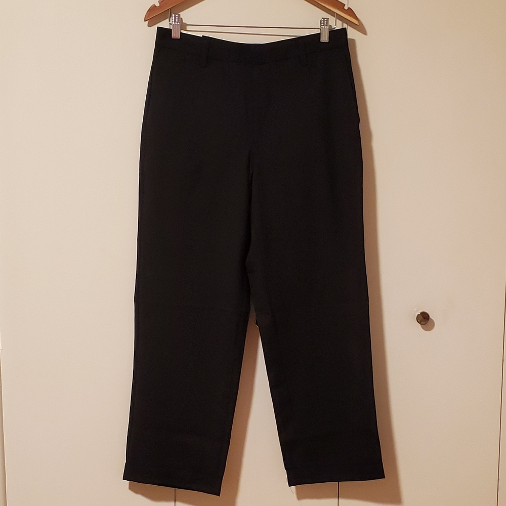 Banana Republic Stretch Dress Pants sz 32W…